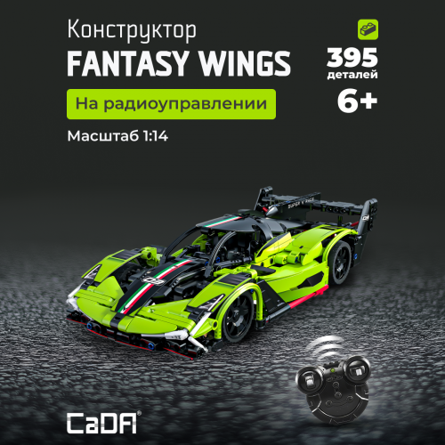 C51303W Fantasy Wings 1