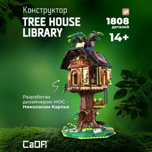 C66013W The house Library 1