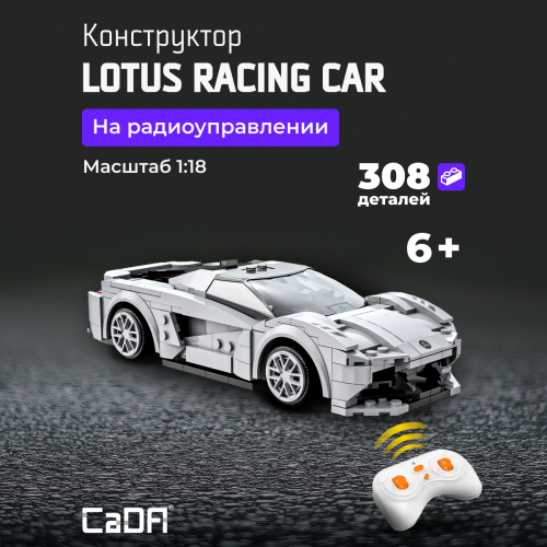 C51071W Lotus racing car 1