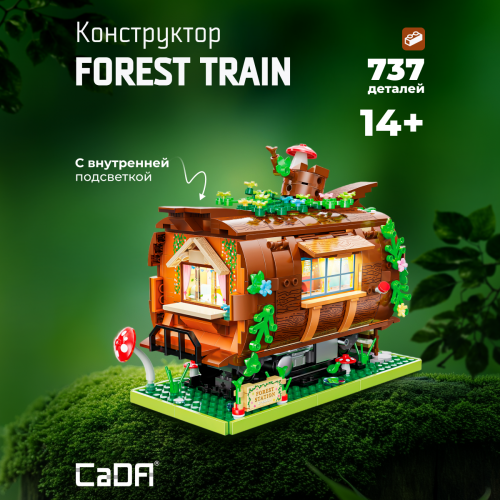 C66031W  Forest Train 1