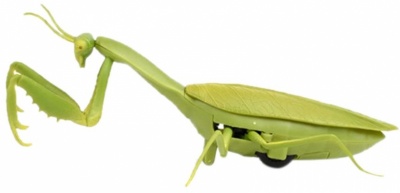 robo_bogomol_1toy_t16443_robo_live_na_ik_upravlenii_1425525_1