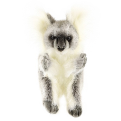 2a6a2523e3116e12a0dafe7494ba14e3