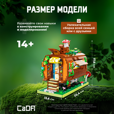 C66031W  Forest Train 4