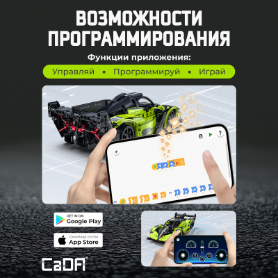 C51303W Fantasy Wings 5