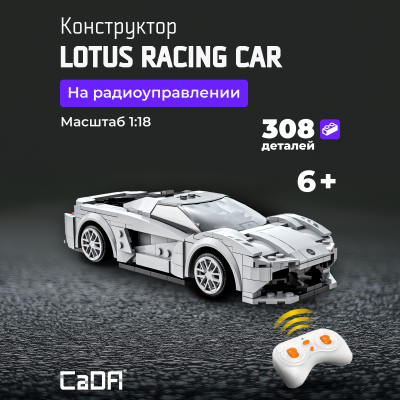 C51071W Lotus racing car 1