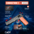 C81012W М1911 - 2 C81012W М1911 - 2